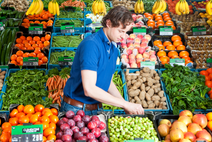 Quality General insurance Quotes for Greengrocer
